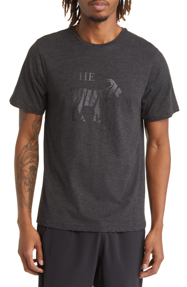 Swannies Tiger Goat Graphic Tee, Main, color, 