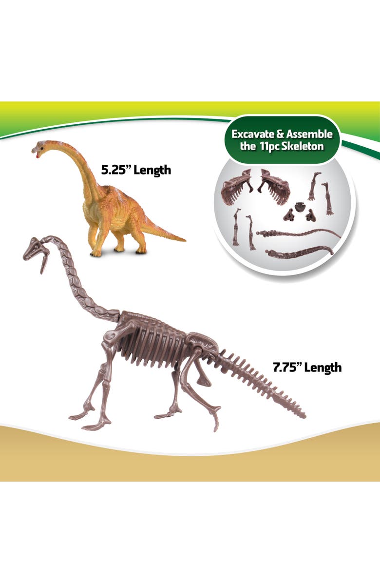 WowWorld Dino Dig Brachiosaurus Skeleton Excavation Kit, Ages 6+, Alternate, color,