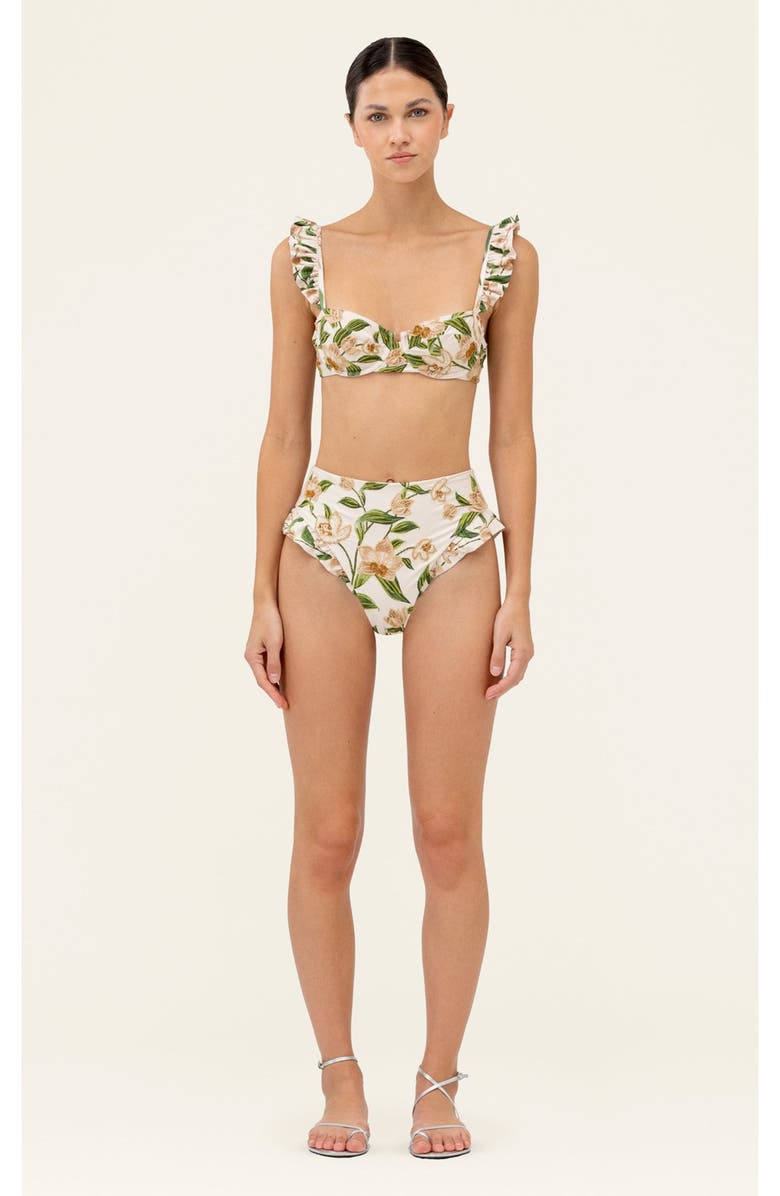 Agua by Agua Bendita Jengibre Orquidea Bikini bottom, Alternate, color, Multi