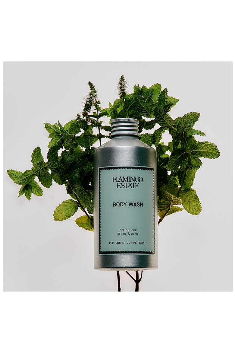Peppermint & Juniper Berry Body Wash, Alternate, color, GREEN