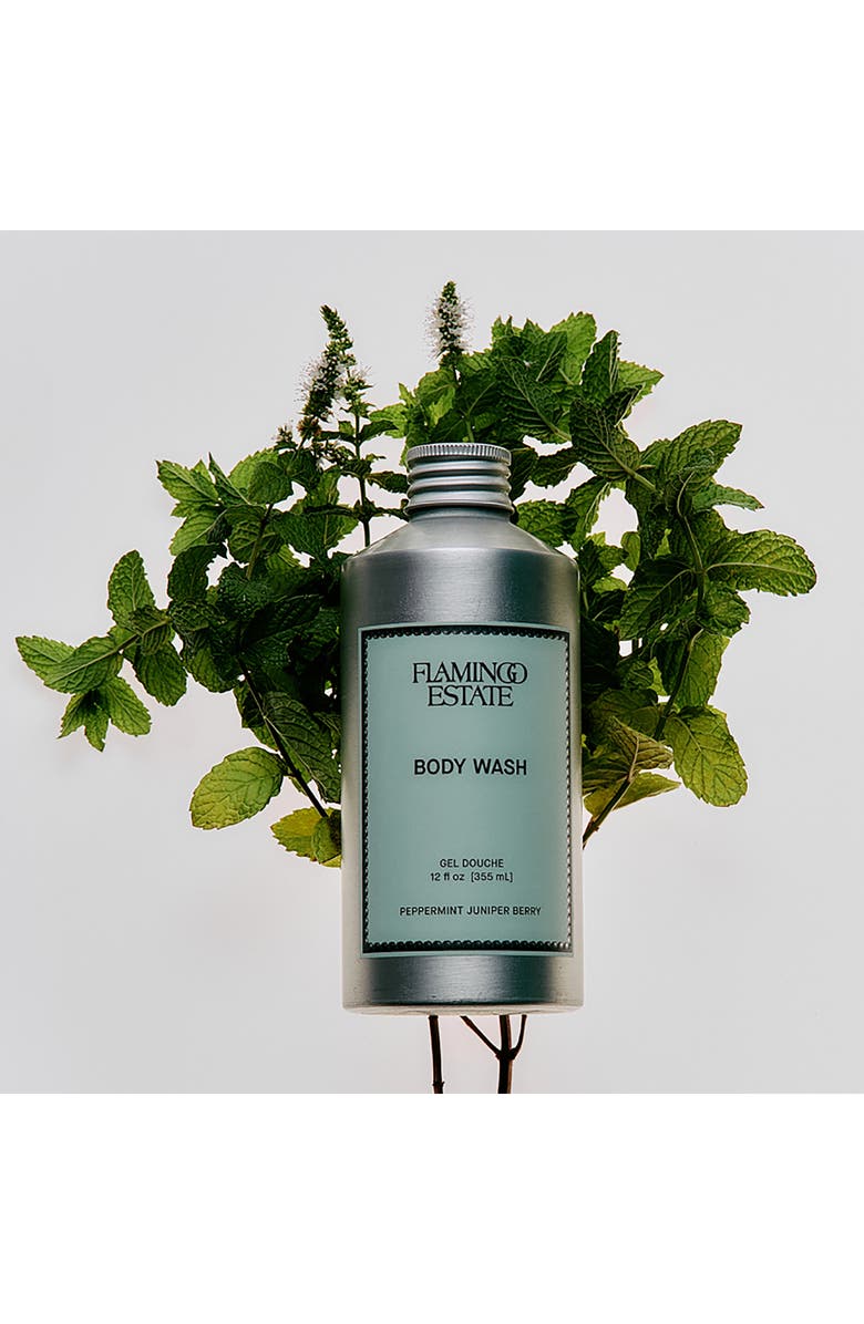 FLAMINGO ESTATE Peppermint & Juniper Berry Body Wash, Alternate, color, Green