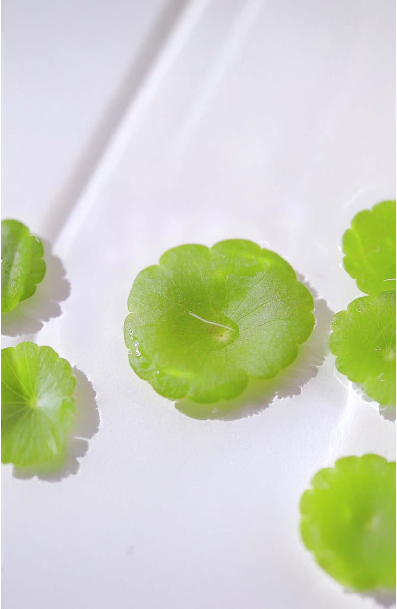 Pyunkang Yul Low pH Pore Deep Cleansing Foam, Alternate, color, NO COLOR