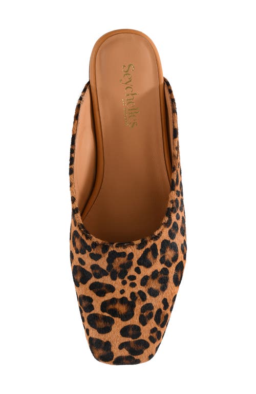 Seychelles Prim & Proper Mule In Animal Print