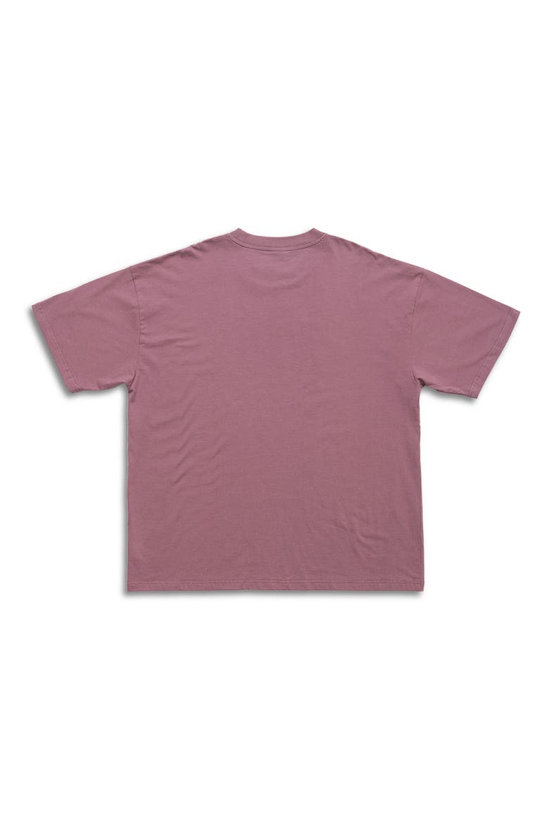 Globe Graphic T-Shirt, Alternate, color, MAUVE