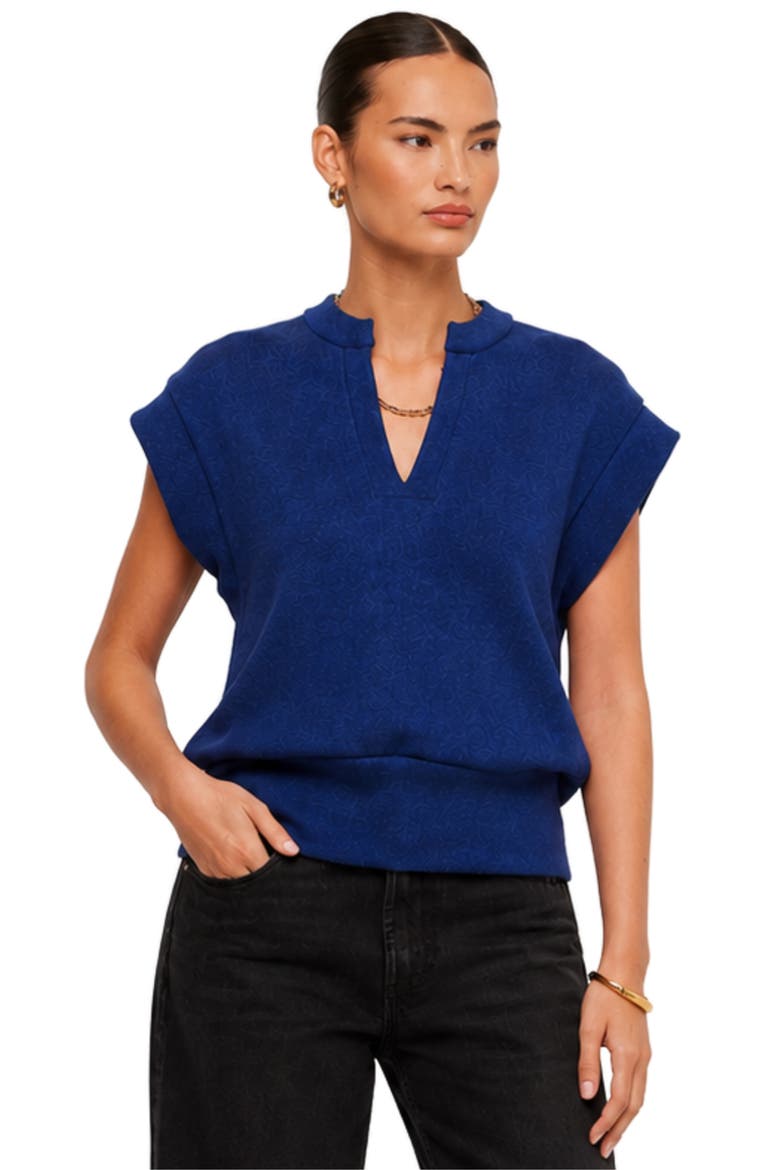 Morgan V-Neck Top, Alternate, color, BLUE