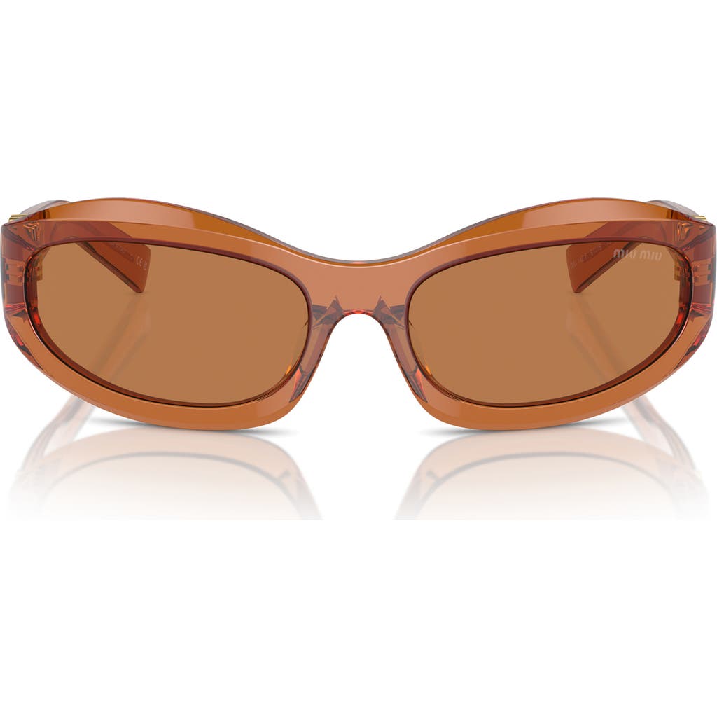 Miu Miu Transparent Sunglasses In Caramel