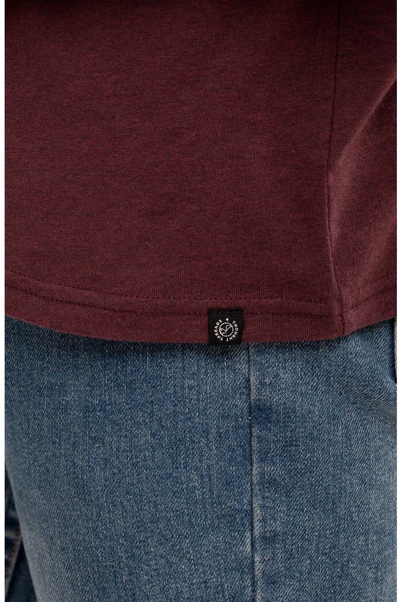 Long Sleeve Henley Hoodie, Alternate, color, MAROON RUST