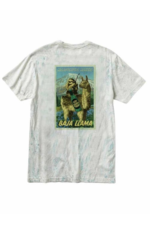 Baja Llama 2 BEST FRIENDS - PRIMO GRAPHIC TEE in Tie Dye  product