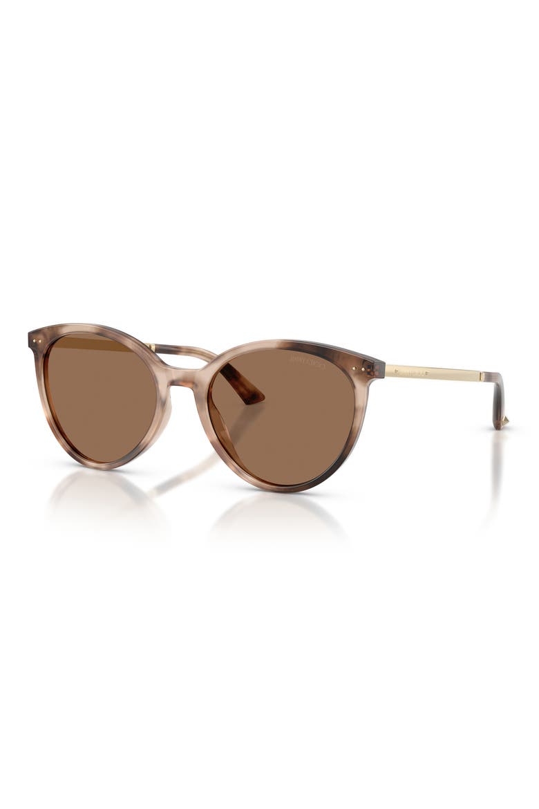 JC5060 53mm Phantos Sunglasses, Alternate, color, CHAI HAVANA / DARK BROWN