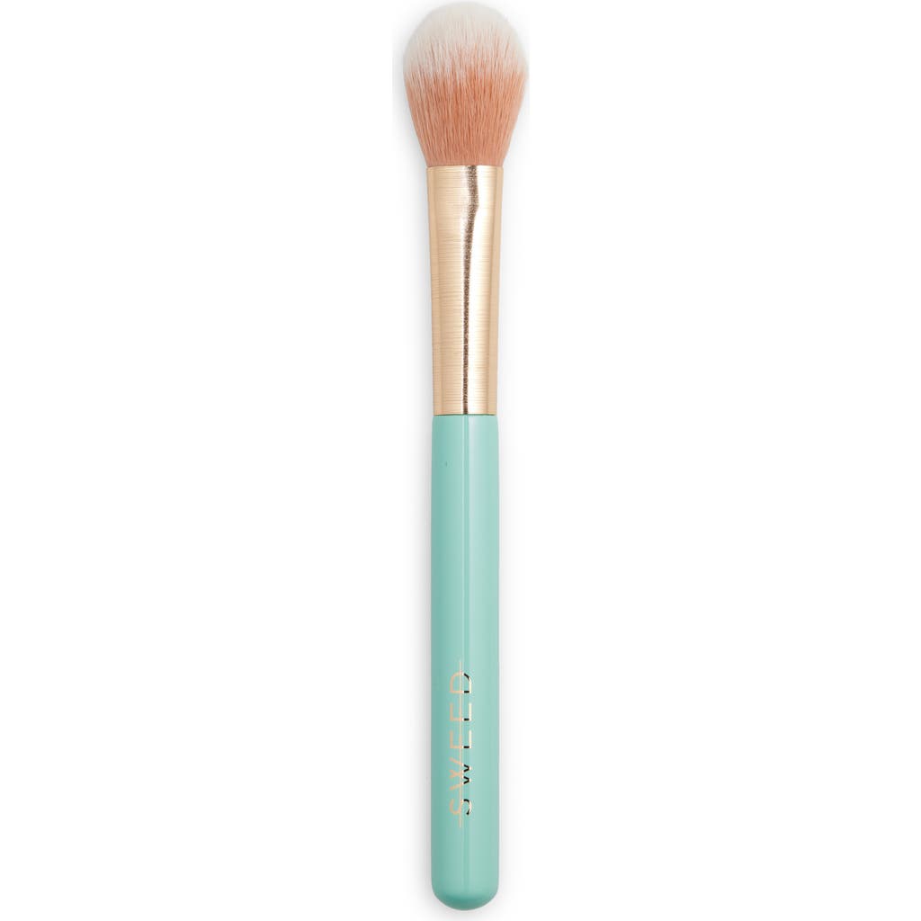 Sweed Highlighter Brush In Transparent