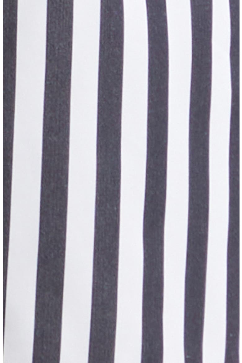 Stripe Cotton & Silk Poplin Shorts, Alternate, color, S8057 RIGATO