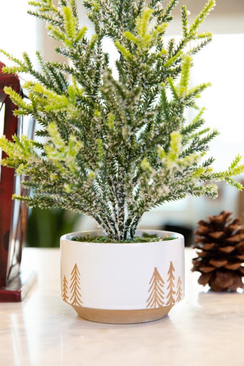 Flora Bunda 11.5in Frosted Xmas Tree In 4in Reversed Bowl Pot In Green
