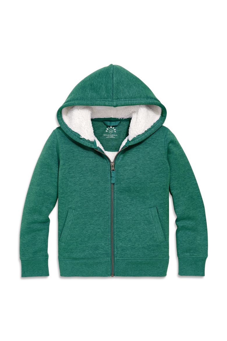 Teddy Fleece-Lined Zip Hoodie, Main, color, Heather Spruce