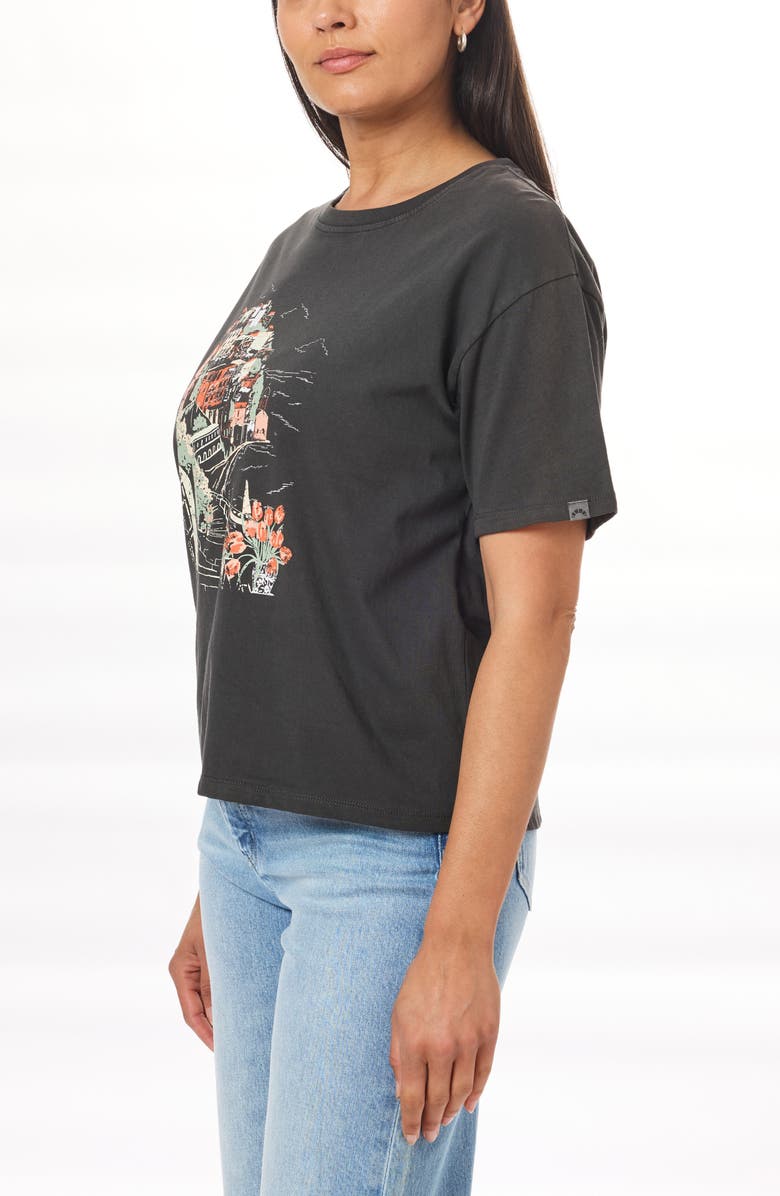 C & C California Toni Boxy Cotton Crop Tee, Alternate, color, 