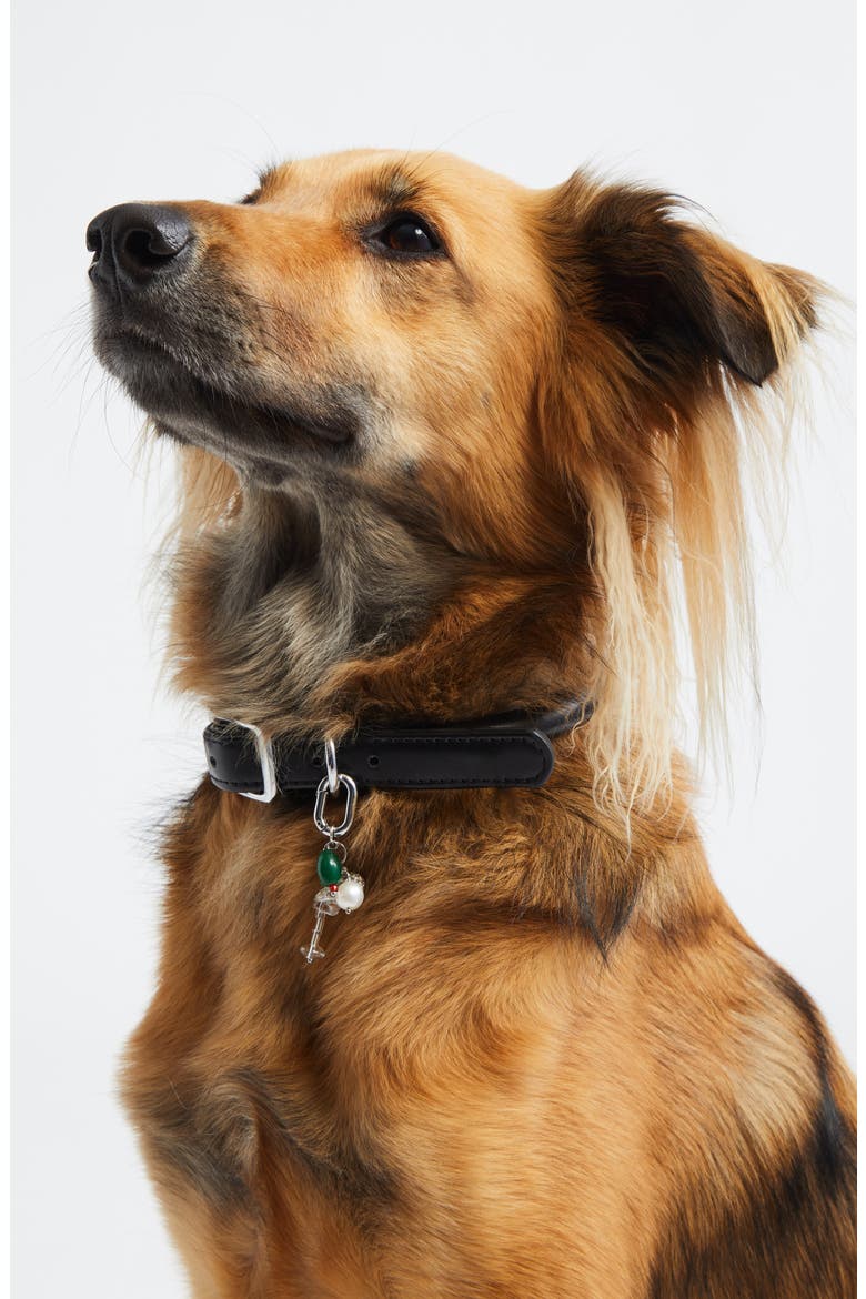 Martini Pet Collar Charm (Nordstrom Exclusive), Alternate, color, MARTINI