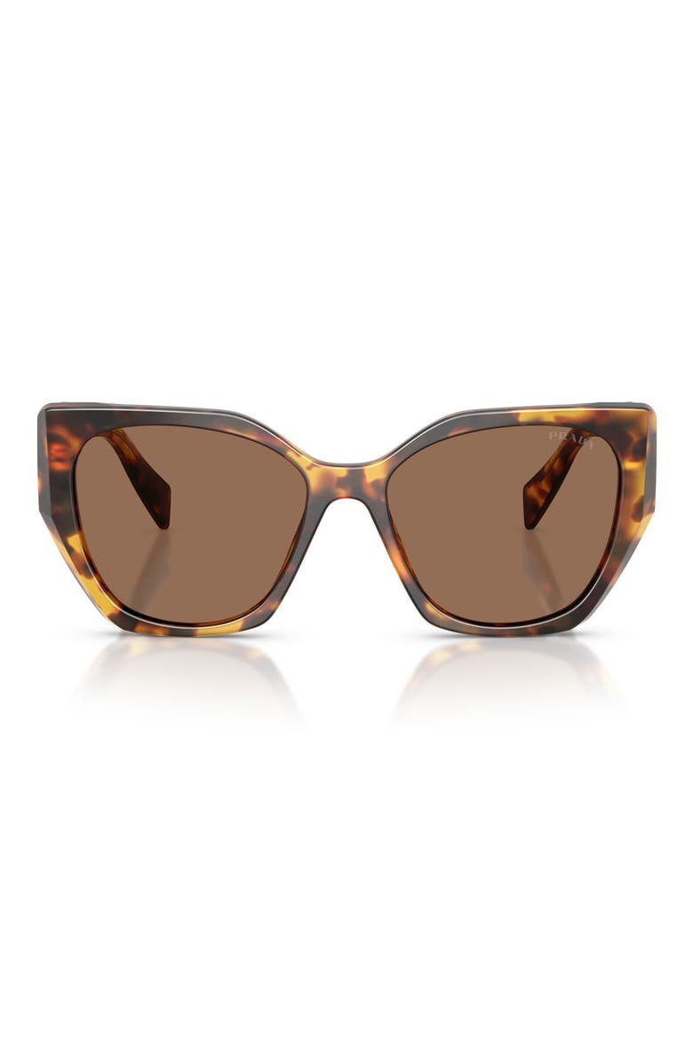 55mm Pillow Sunglasses, Main, color, HONEY TORTOISE / DARK BROWN