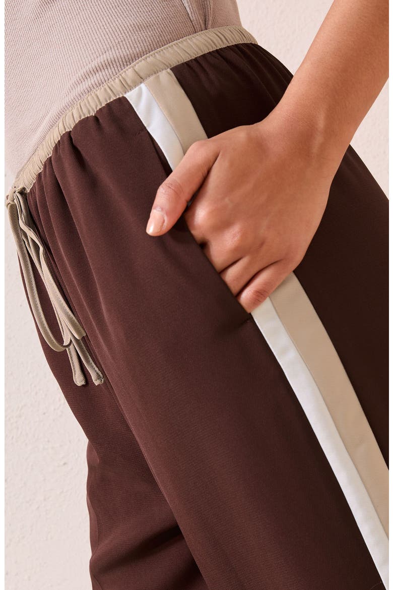 Side Stripe Drawstring Wide Leg Pants, Alternate, color, BROWN