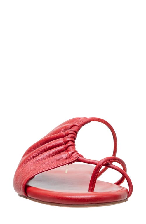 Linea Paolo Lane Toe Loop Sandal In True Red