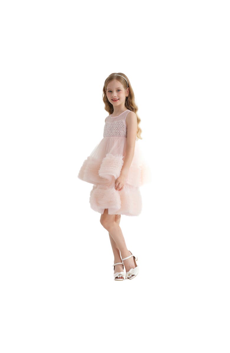 Tulleen Sweetberry Dress, Alternate, color,