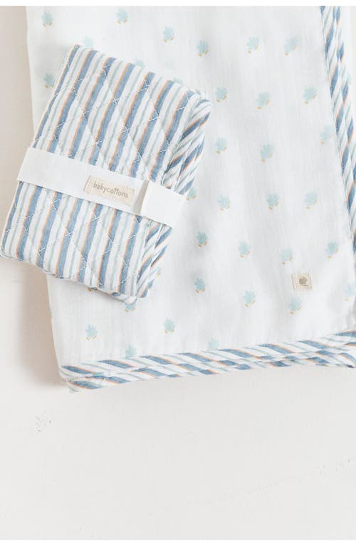 Babycottons Noah Muslin Blanket In Multicolor
