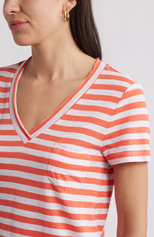 Caslonr Caslon(r) Cotton & Modal V-neck T-shirt