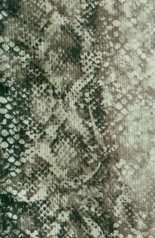 Open Edit Snakeskin Print Satin Button-up Shirt In Green