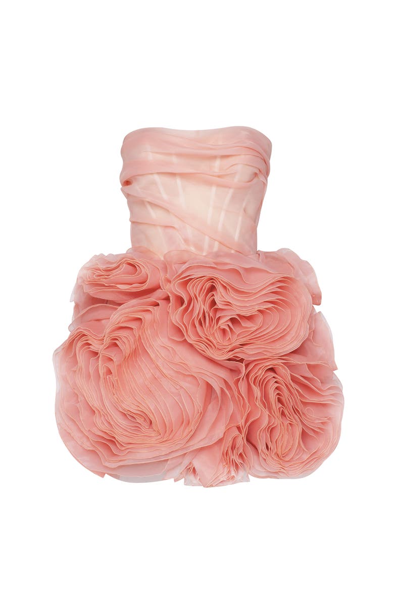 Milla Appliquéd Organza Coral Mini Dress, Main, color, 