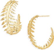Kendra Scott Kayla Hoop Earrings