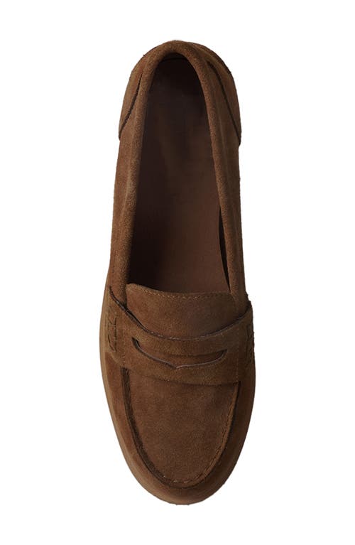Artisan Crafted By Zigi Peachey Penny Loafer In Tanse