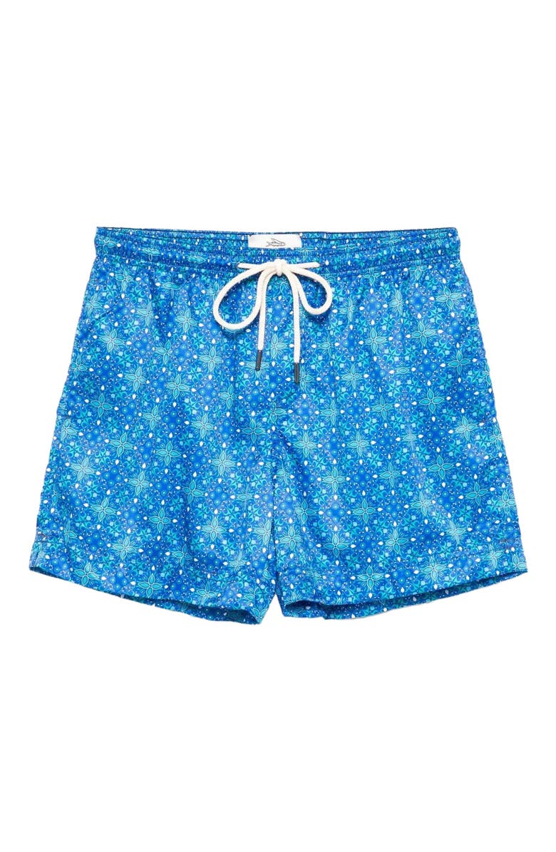 Peninsula Swimwear Costa Paradiso Swim Shorts, Main, color, Multicolor