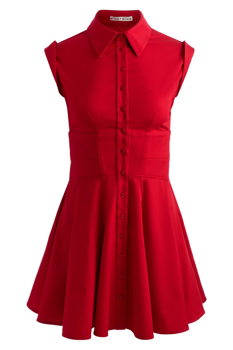 Kim Paneled Corset Fit and Flare Mini Shirtdress, Alternate, color, HIBISCUS