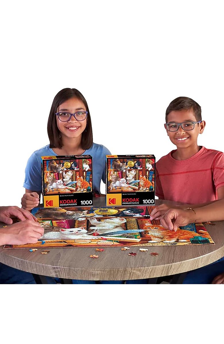 CRA-Z-ART Roseart Library Mischief 1000 Piece Puzzle, Alternate, color, Multicolored