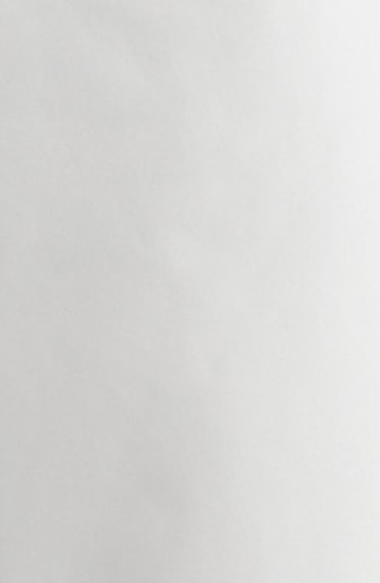 Moncler Grenoble Gore-Tex<sup>®</sup> Ski Trousers, Alternate, color, Ice