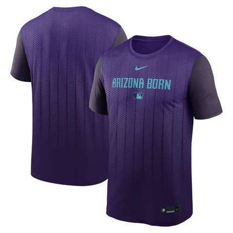 Men's Nike  Purple Arizona Diamondbacks 2025 City Connect Authentic Collection Velocity Performance T-Shirt