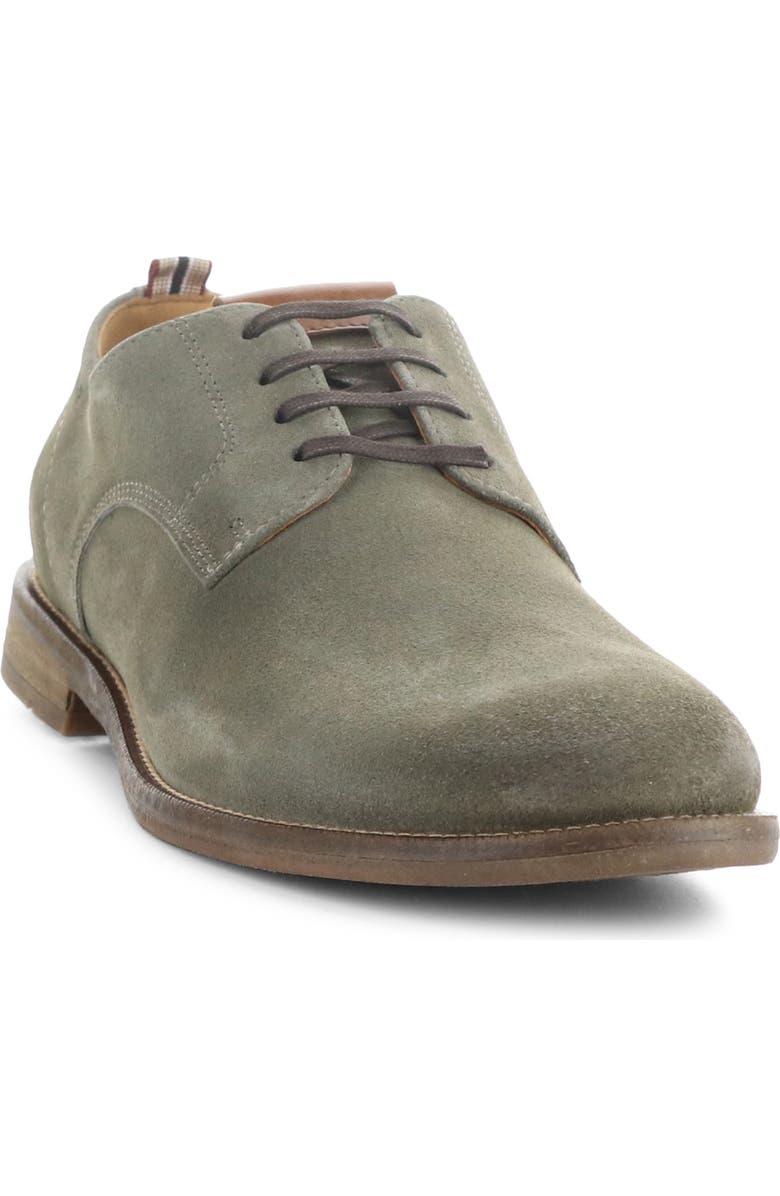 Ambitious 13415 Plain Toe Derby, Alternate, color, Salvia Suede