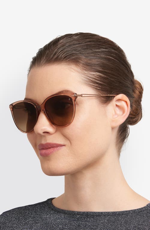 Stuart Weitzman 58mm Gradient Butterfly Sunglasses In Brown