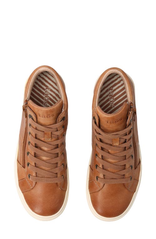 Taos Winner High Top Sneaker In Multi