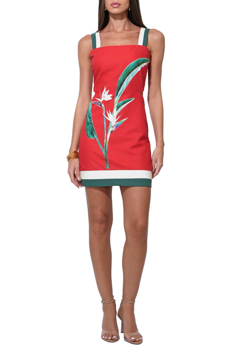Birds of Paradise Minidress, Main, color, RED