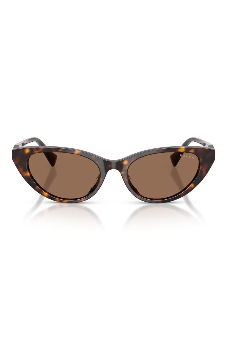 53mm Gradient Cat Eye Sunglasses, Main, color, SHINY DARK HAVANA / BROWN