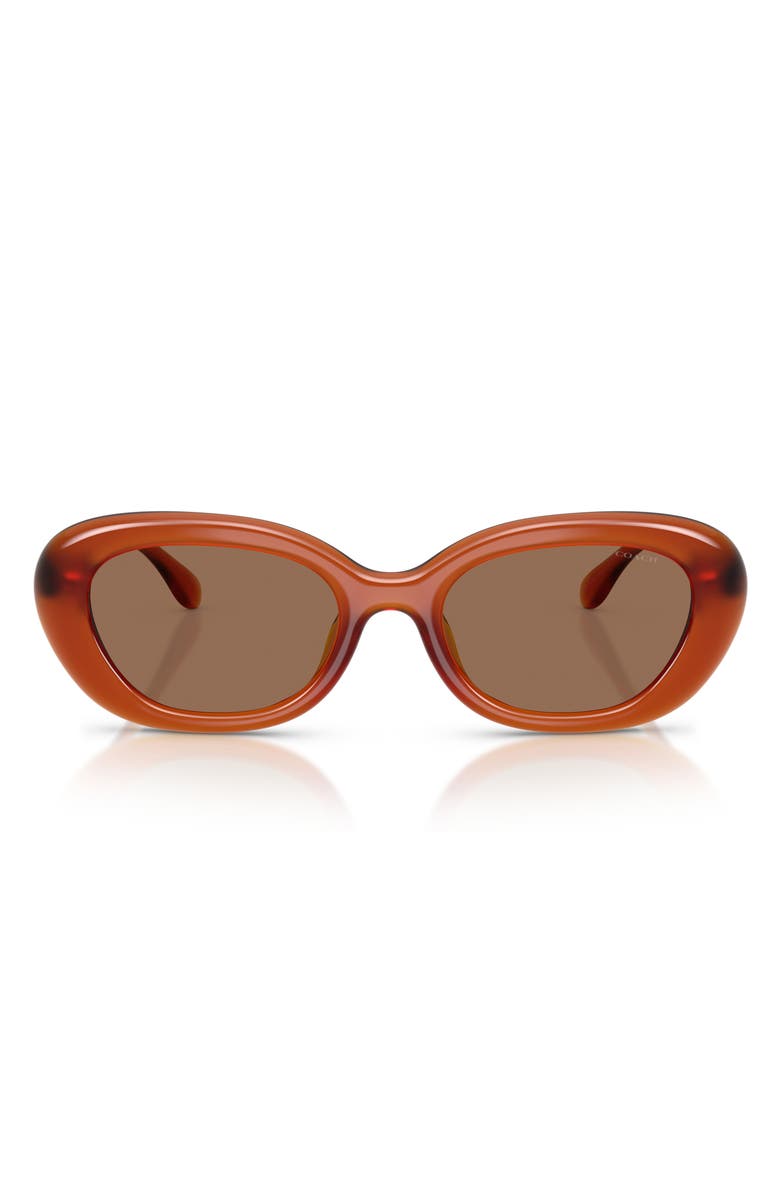 COACH 54mm Oval Sunglasses, Main, color, Milky Amber / Wine Solid