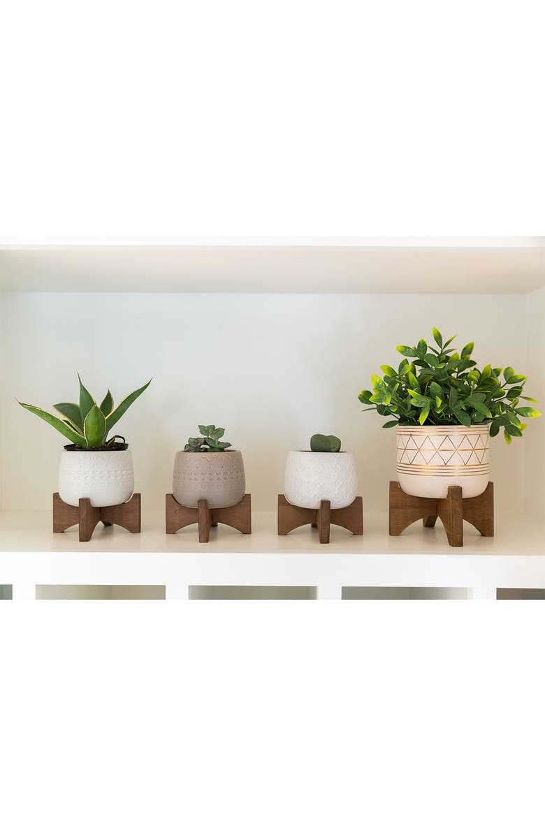 FLORA BUNDA 12" Tea Plant in 5" Geo Ceramic Footed Pot, Alternate, color, 