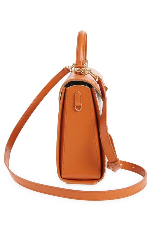 Anya Hindmarch Mortimer Canvas & Leather Top Handle Bag In Spice
