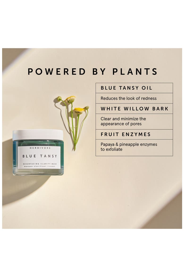 Blue Tansy BHA + Enzyme Pore Refining Mask, Alternate, color, NO COLOR