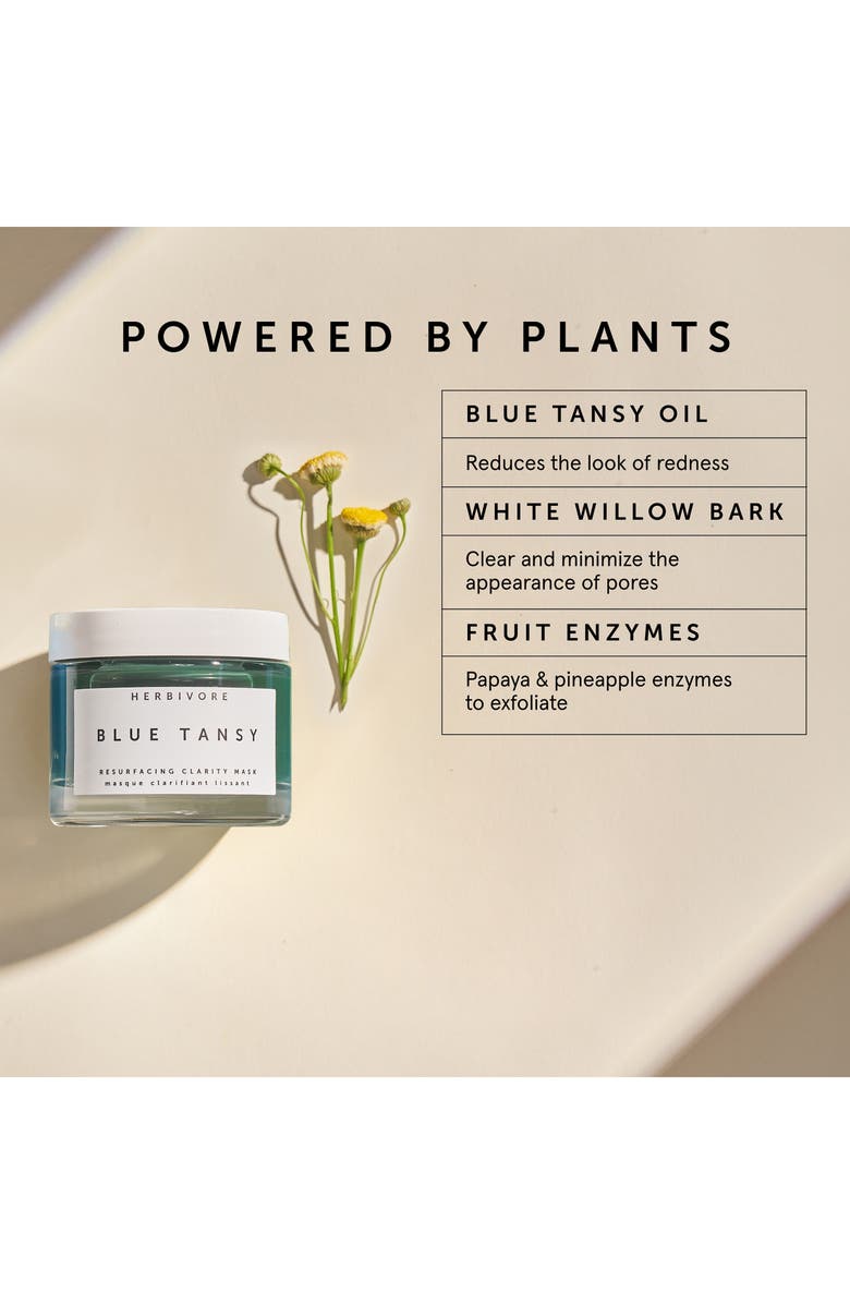 Herbivore Botanicals Blue Tansy BHA + Enzyme Pore Refining Mask, Alternate, color,