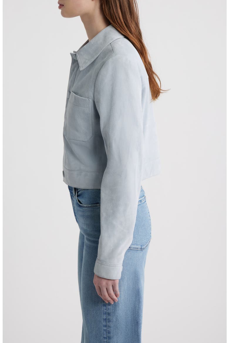 The Small Suede Jacket, Alternate, color, SKY BLUE