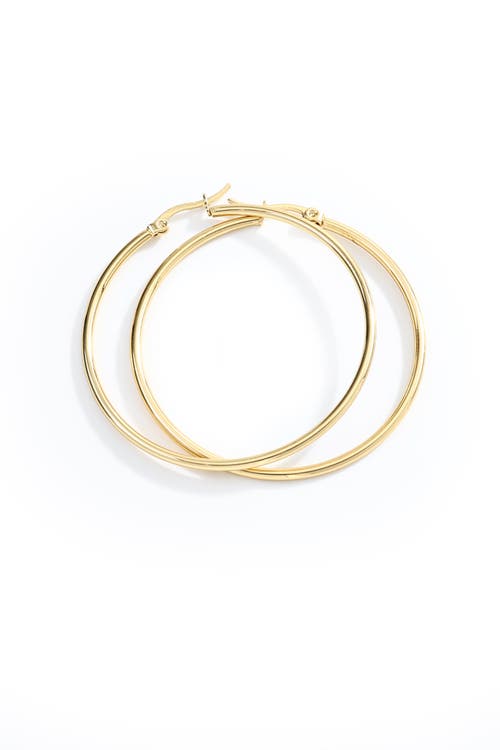 Mint & Lily Lynette Large Hoop Earrings In Gold