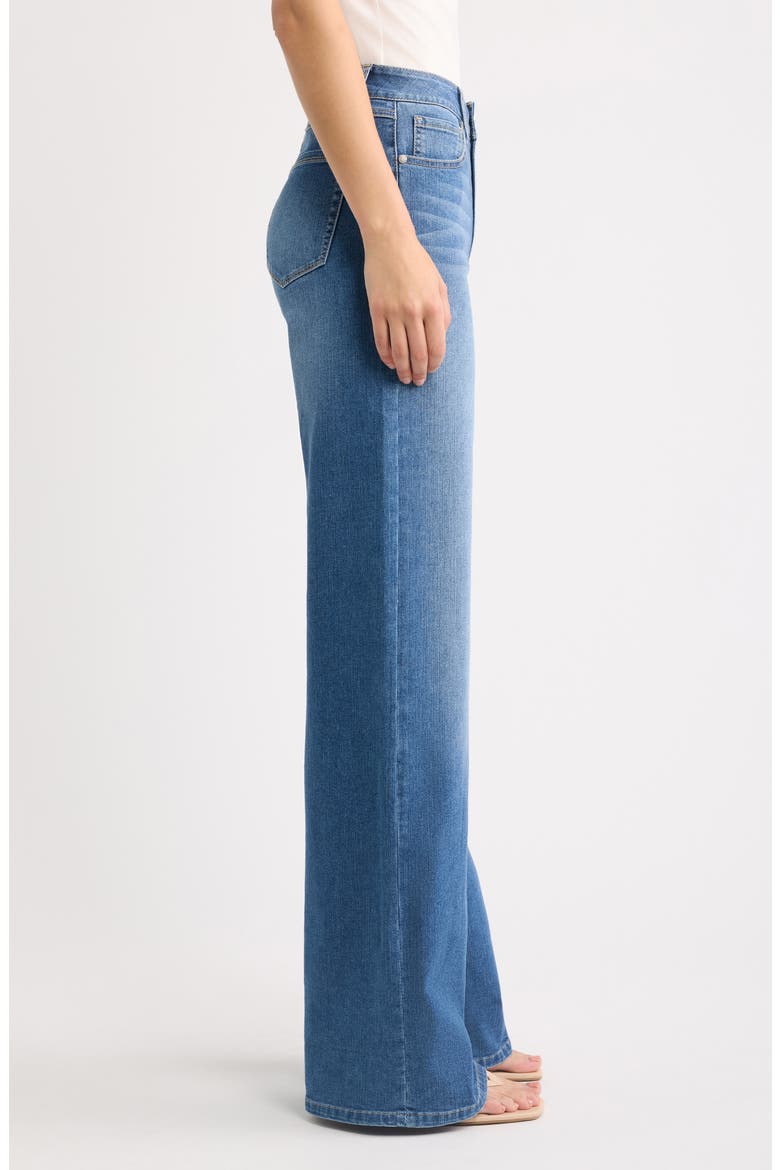 High Rise Wide Leg Jeans, Alternate, color, ACE