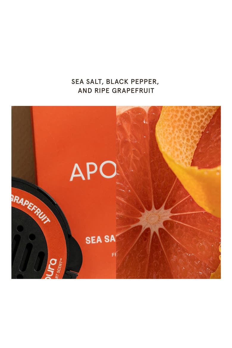 x Apotheke Sea Salt Grapefruit Car Fragrance Refill Duo, Alternate, color, SEA SALT GRAPEFRUIT