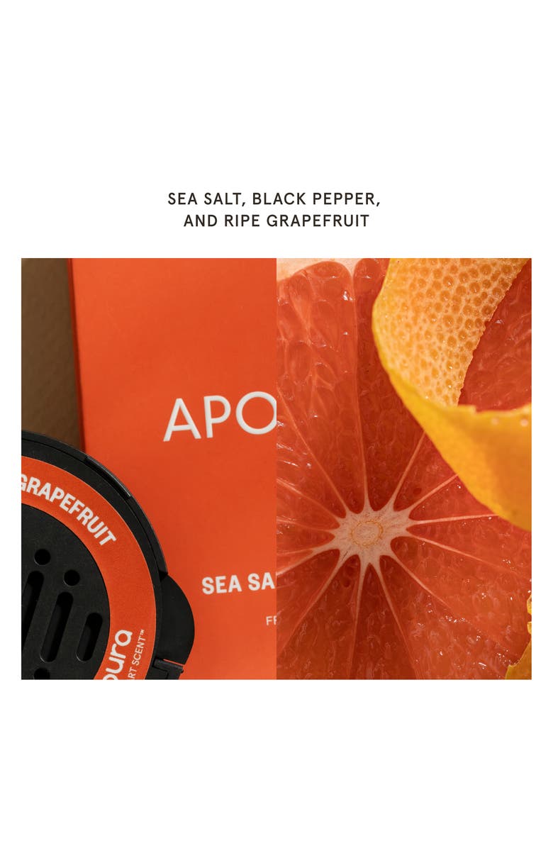 PURA x Apotheke Sea Salt Grapefruit Car Fragrance Refill Duo, Alternate, color, Sea Salt Grapefruit