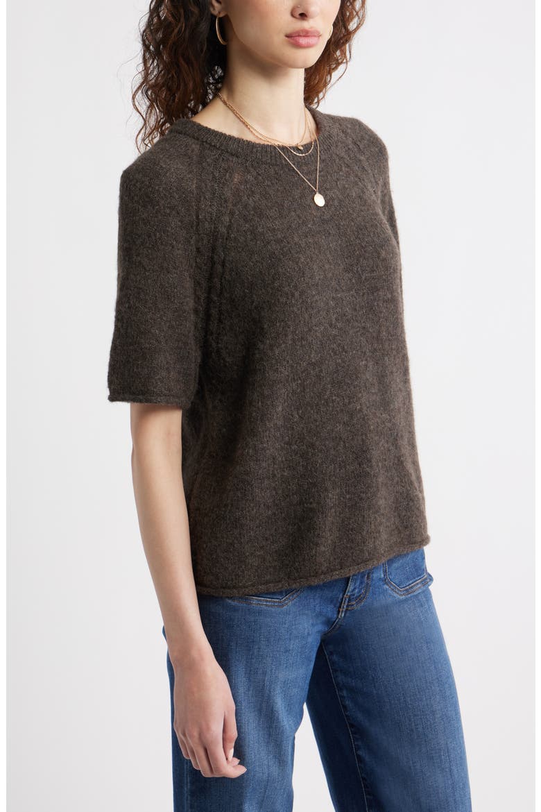 Relaxed Short Sleeve Sweater, Alternate, color, BROWN MALICACIA